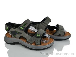 купить KIMBOO T64-3L оптом