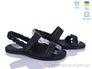 купить Ailinda 464-2 оптом