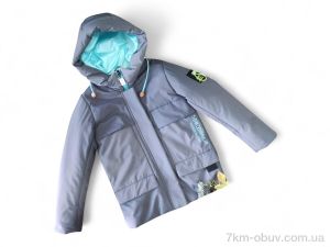 купить Kids-modnik 4812 сірий оптом