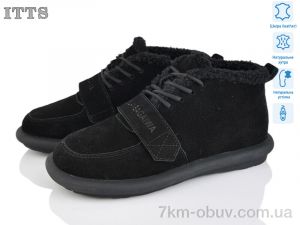 купить ITTS DX08-1 оптом