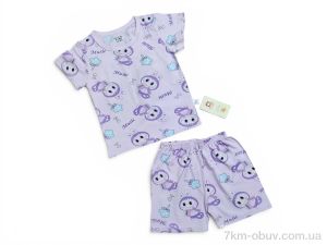 купить Kids-modnik 261920 комплект футболка-шорти бузковий оптом