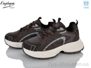купить оптом Dageni M1105-9