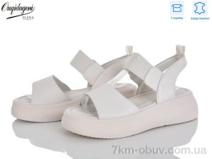 купить Dageni F227-3 оптом