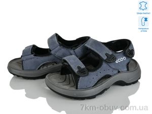 купить KIMBOO T61-2D оптом