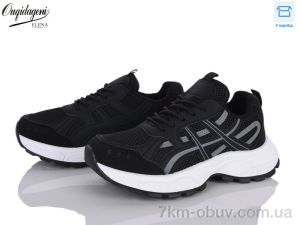 купить оптом Dageni A6008-1
