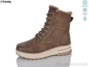 купить Trendy DH3971-3 оптом