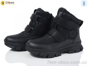 купить Clibee HC369 black оптом