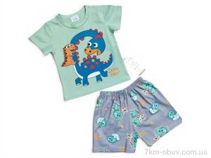 купить Kids-modnik 2620 комплект футболка-шорти зелений оптом