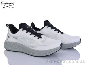 купить Dageni A2773-19 оптом