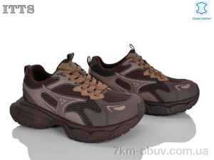 купить ITTS NB909-2 оптом