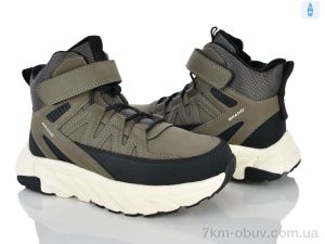 купить оптом Clibee-ShoSho GC90-3 a.green