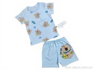 купить Kids-modnik 2619 комплект футболка-шорти панда блакитний оптом