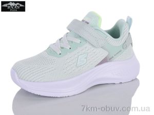 купить Baas K6610-6 оптом