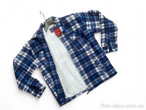 купить Verton 101-14 blue оптом