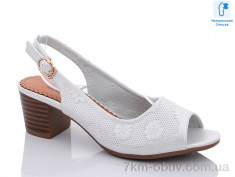 купить MOLO 231L-5 оптом