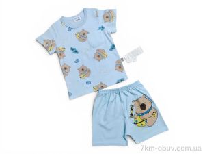 купить Kids-modnik 261920-1 комплект футболка-шорти блакитний оптом