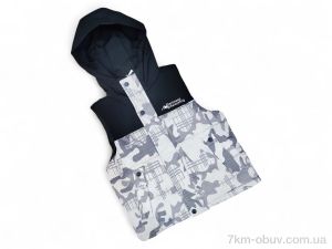 купить Kids-modnik 2506 кремовий оптом