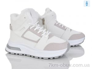 купить Baolikang G23-2 оптом