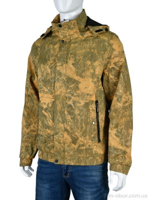 купить Мир 4509 ginger оптом