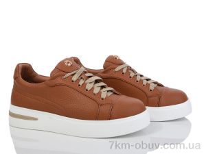 купить Захар-Gold F453-23 піна оптом