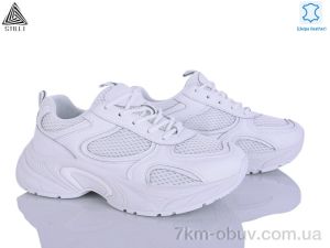 купить STILLI Group T10-1 шкіра оптом