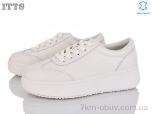 купить ITTS K696-3 оптом