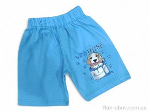 купить Kids-modnik 5144 блакитний оптом