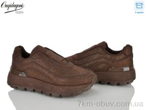 купить оптом Dageni M98027-5
