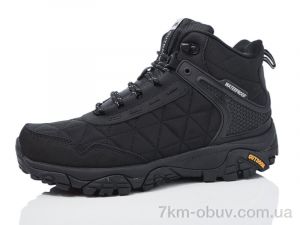 купить Boteli M366-2 оптом