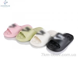 купить Acorus 2338 mix оптом