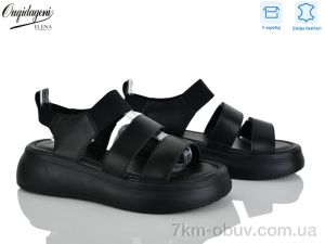 купить Dageni F233-1 оптом