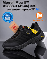 купить Boteli A2888-3 оптом