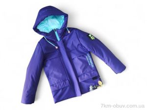купить Kids-modnik 4812 фіолетовий оптом
