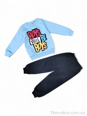 купить Kids-modnik 43696 блакитний реглан-штани оптом