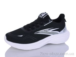 купить Ditof B0080-1 оптом