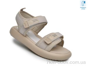 купить TOM.M B60092C оптом