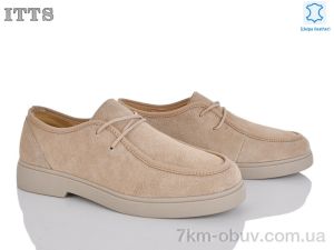 купить ITTS 172-5 оптом