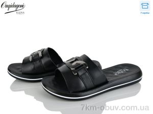 купить оптом Dageni 1806-1B