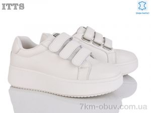 купить ITTS K691-3 оптом