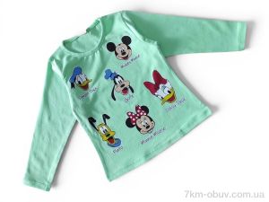 купить оптом Kids-modnik 4570 реглан салатовий