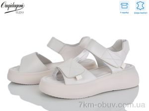 купить Dageni F228-3 оптом