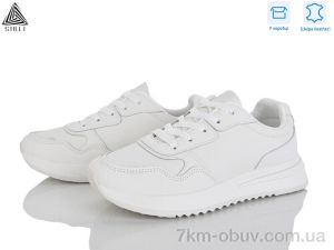 купить оптом STILLI Group G160-2 шкіра