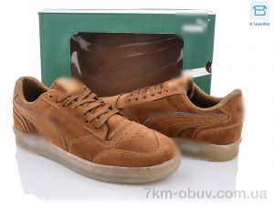 купить оптом Olimp 637-4