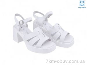 купить Allshoes 196064 оптом