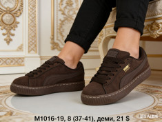 купить оптом Dageni M1016-19