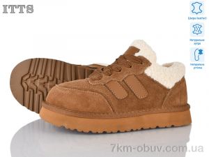 купить ITTS Q295-45 оптом