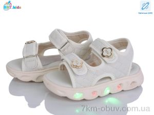 купить оптом BBT L856-2-3 LED