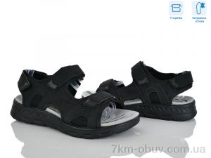 купить Hongquan F30-1 оптом