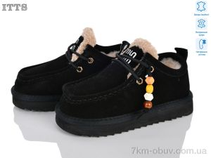 купить ITTS T6687-2 оптом
