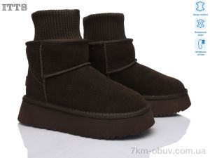 купить ITTS F249-41 оптом